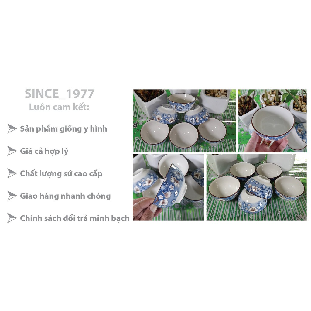 Chén nước mắm Bát Bảo 4D02, Sứ cao cấp Bền, đẹp, rẻ Since_1977