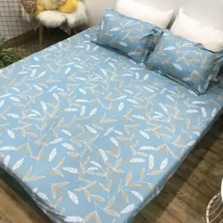 Bộ Chăn Ga Gối Cotton Poly PLX17 sang xịn mịn