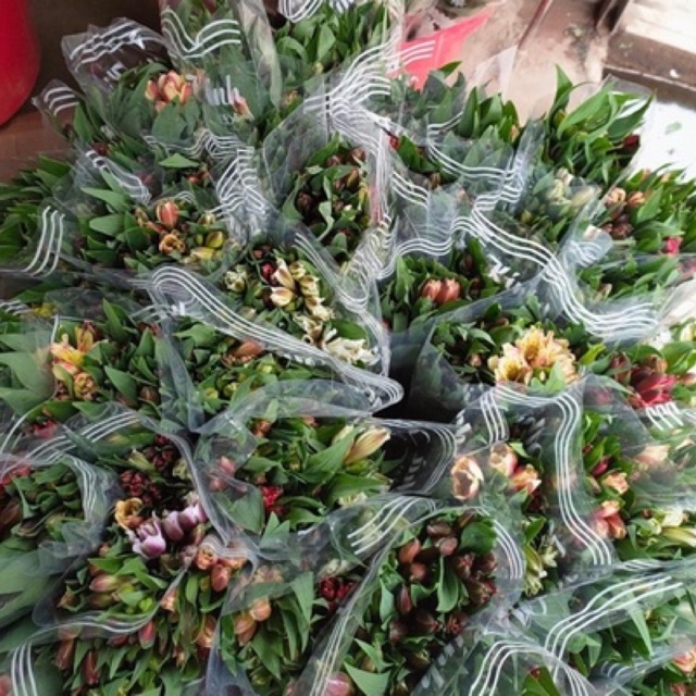 Hoa Thủy tiên/ Ly Peru  |Ship hỏa tốc| Hoa tươi Gifarm