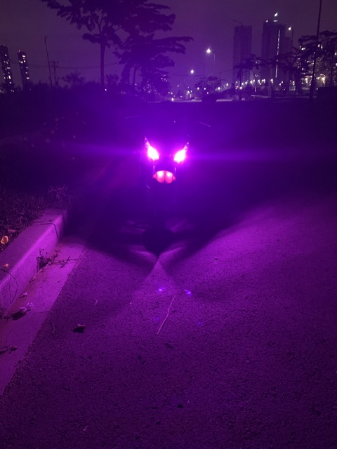 Led sương mù sunrise chân T10