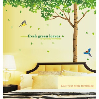Decal dán tường Cây sồi cổ đại