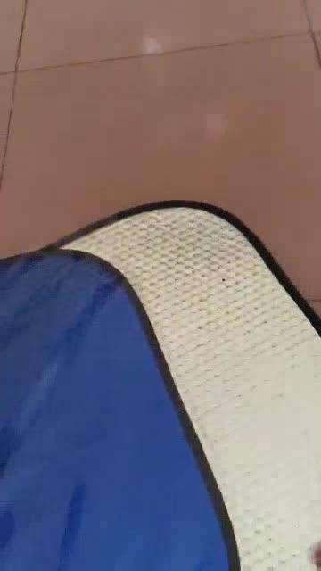 Bộ 2 Tấm Che Nắng Ô Tô, Tấm Chắn Nắng Ô Tô Xe Hơi Phản Quang Phủ Nhôm Bạc Cách Nhiệt | BigBuy360 - bigbuy360.vn