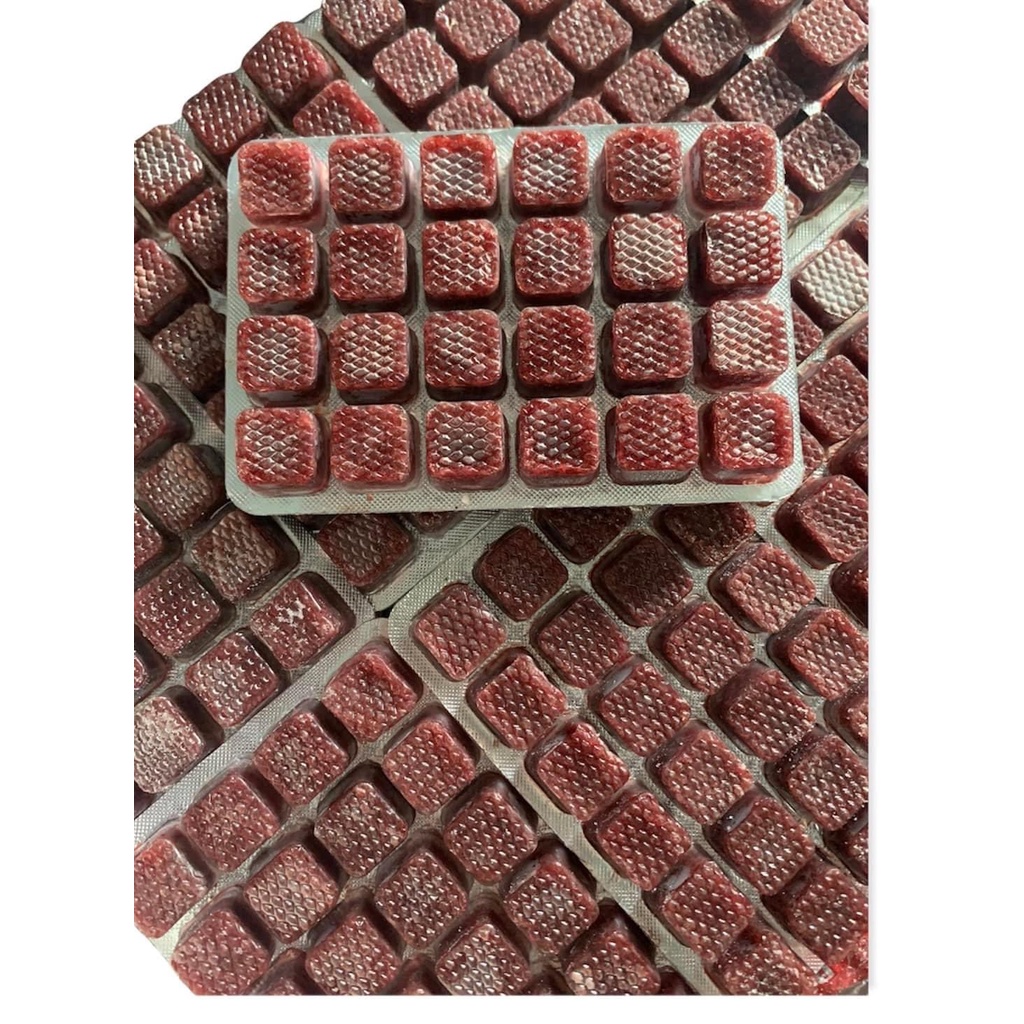 TRÙNG HUYẾT VĨ CHO CÁ CẢNH. VĨ 24 VIÊN