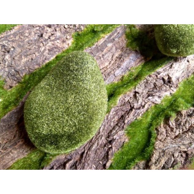 Rêu giả trang trí