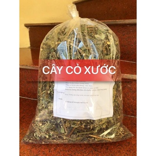 Cỏ xước khô đóng túi 1 kg
