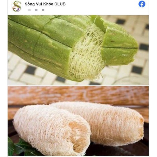 Bông tắm xơ mướp tẩy tế bào chết cho da, rửa chén, đa năng tiện dụng