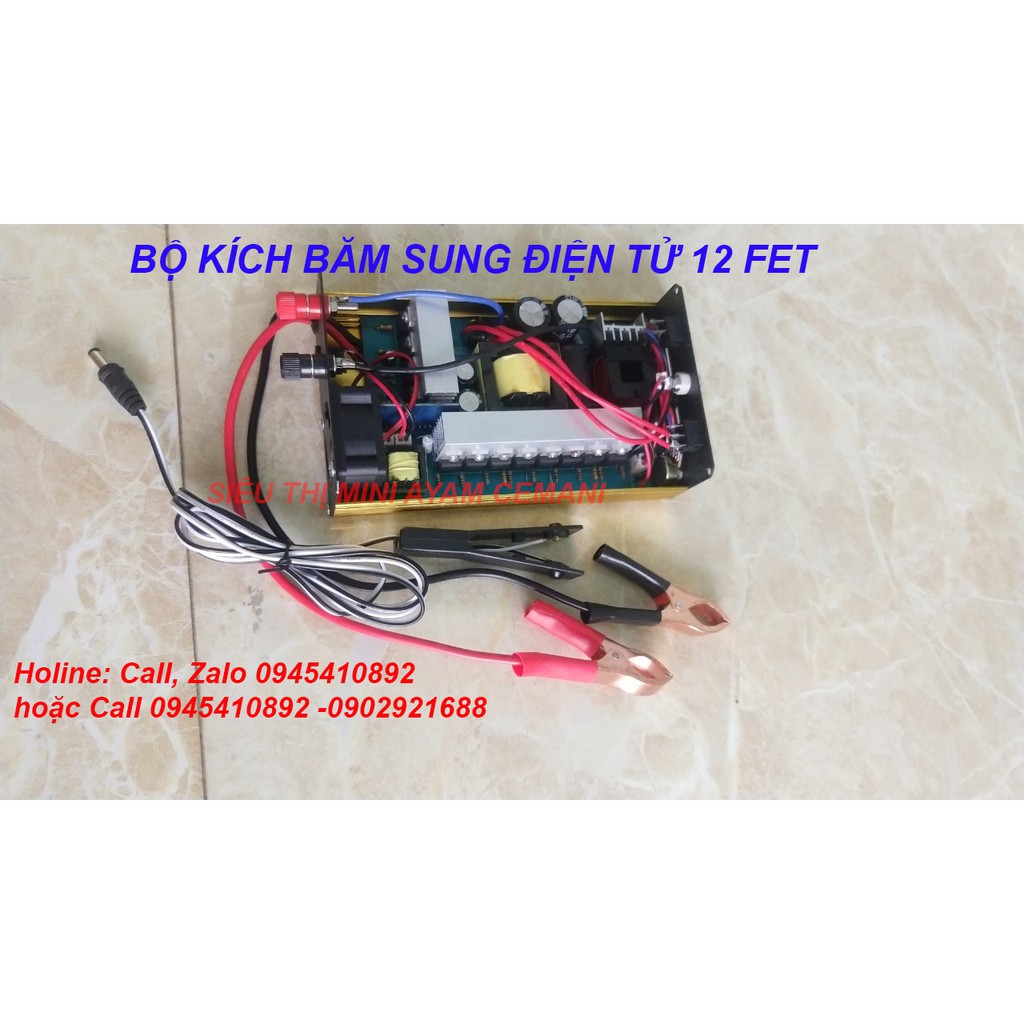 Bộ kích điện tử 12 sò - băm xung 12v
