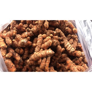 nghệ tươi ban mê