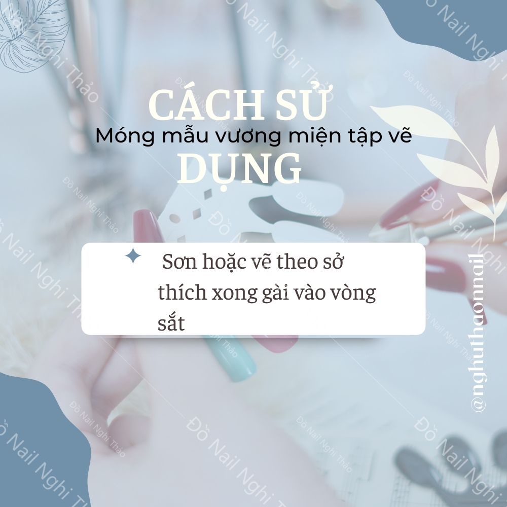 Móng mẫu vương miện tập vẽ