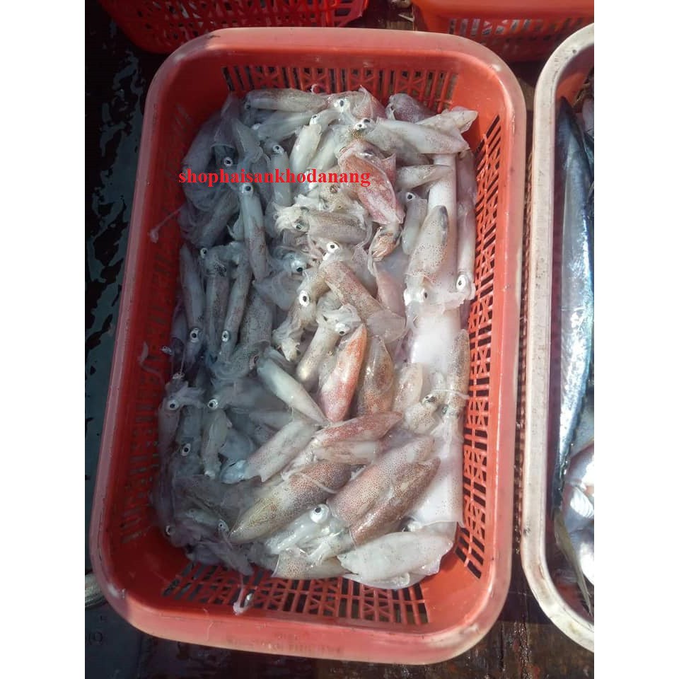 Mực rim me nguyên con đặc sản đà nẵng siêu ngon 200gr | BigBuy360 - bigbuy360.vn