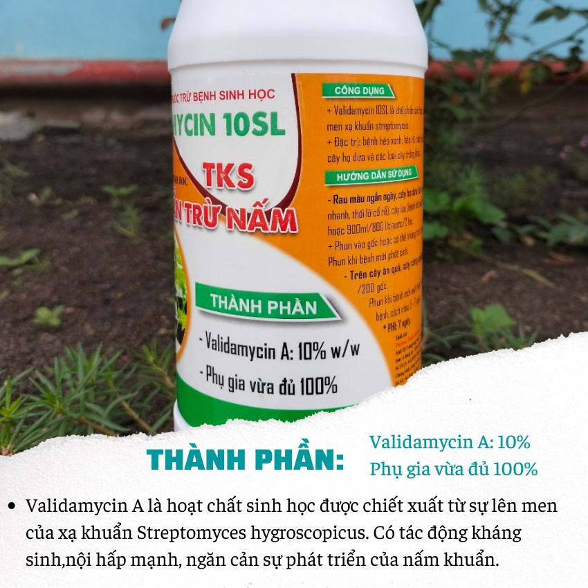 V-CIN 10SL Thuốc Đặt Trừ Bệnh Héo Rủ, héo Xanh, Thối cổ Rễ - Chai 900 ml