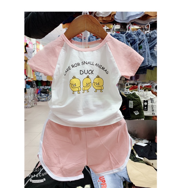 Combo vân đạt