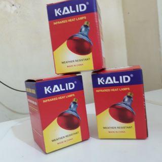 Đèn sưởi bóng hồng ngoại [loại bé] 45W