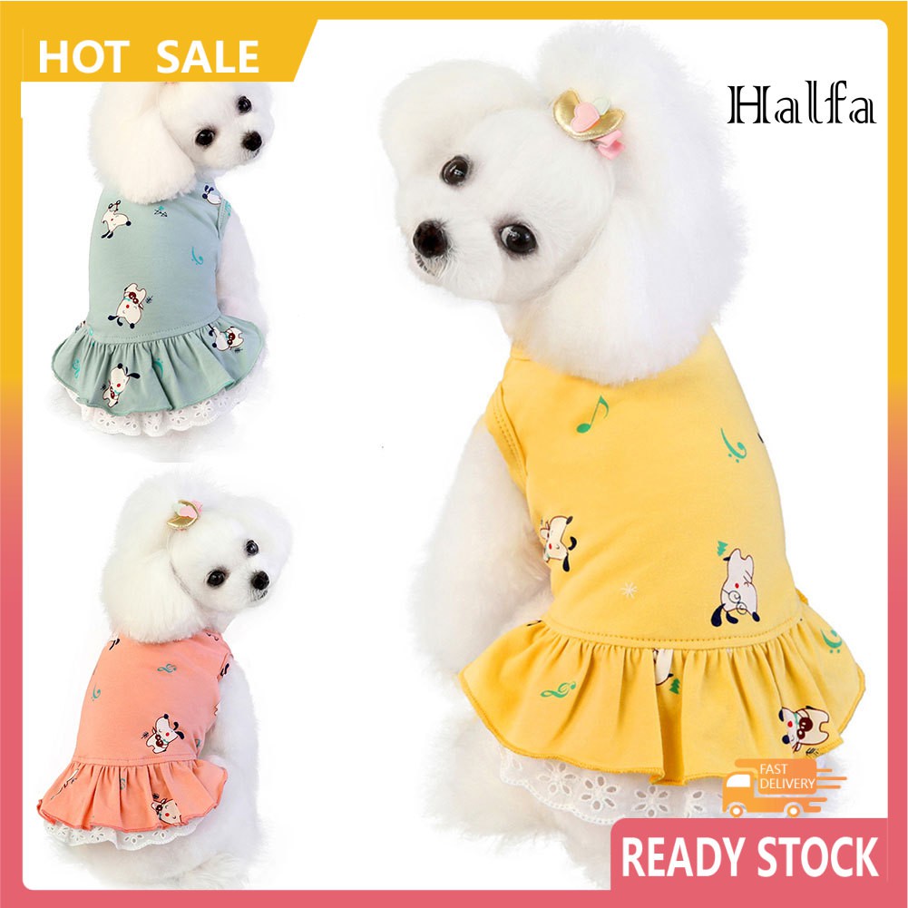 Đầm Cotton Mùa Hè Cho Thú Cưng