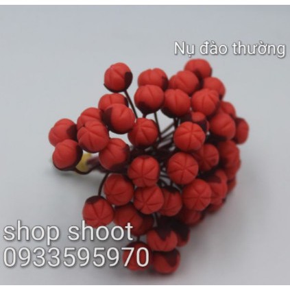 NỤ ĐÀO ĐẤT SÉT