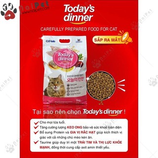 Thức Ăn Hạt Cho Mèo Today’s Dinner Hàn Quốc túi 1kg