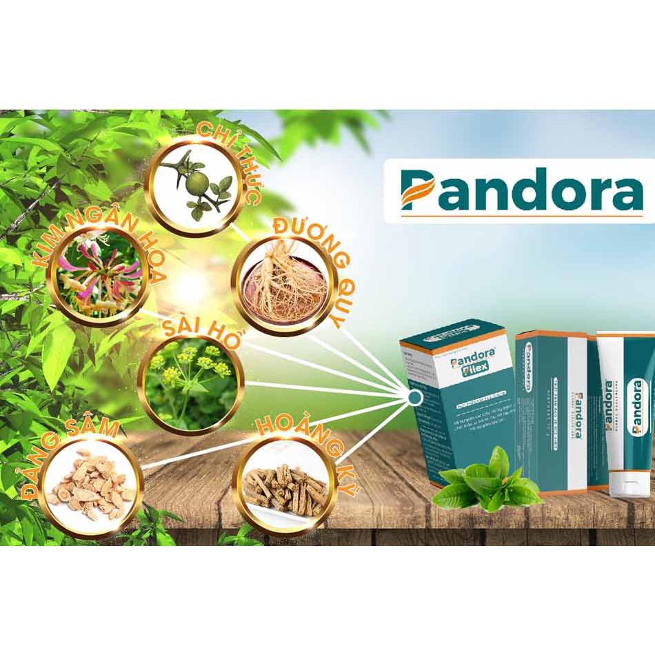 Kem bôi trĩ Pandora Giúp Giảm Sa Búi Trĩ Và Ngăn Ngừa Trĩ Tái Phát - Thiên An Pharmacy