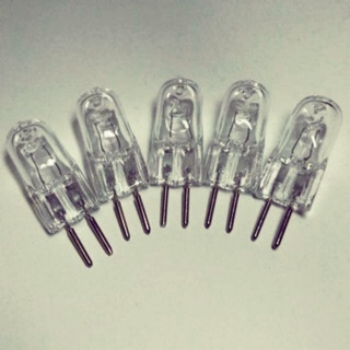 Bóng Đèn Xông Tinh Dầu Halogen