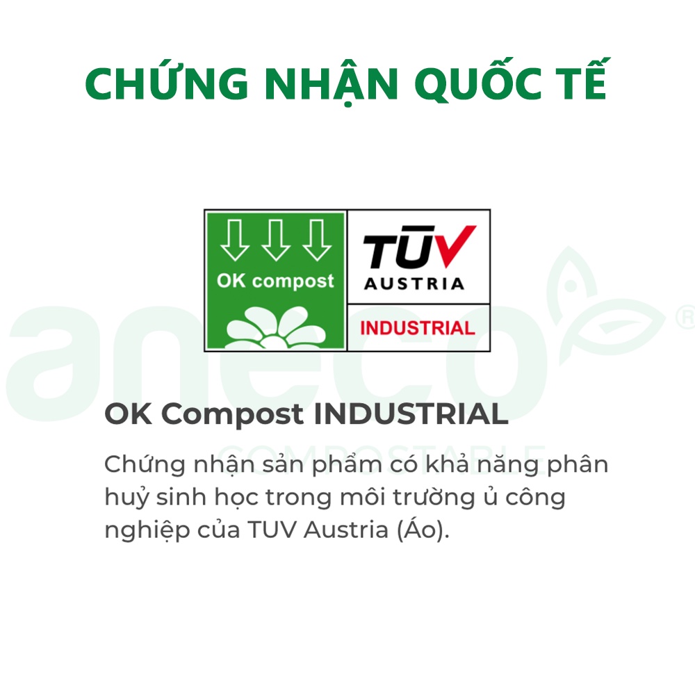 Hộp bã mía đựng thực phẩm ANECO phân hủy sinh học hoàn toàn - Không nhựa 100% - Bảo vệ môi trường (100-125 chiếc)