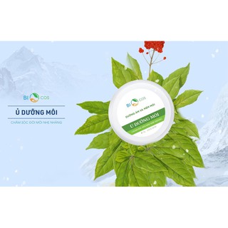 SON DƯỠNG MÔI