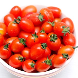HẠT GIỐNG CÀ CHUA CHERRY, CÀ CHUA BI (Gói 0.5g)