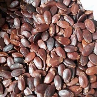 Hạt dưa không phẩm màu