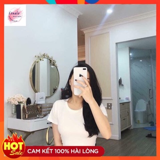 Áo phông HM cổ tròn, áo phông trơn