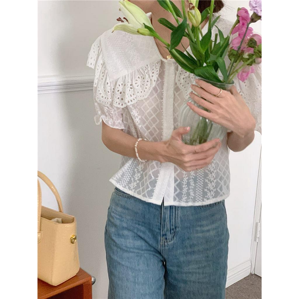 Áo Sơ Mi Ngắn Thêu Hoa Tinh Tế 52758