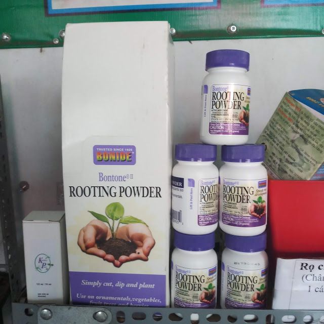 Kích rễ Rotting powder