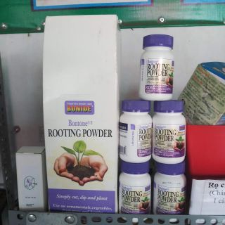 Kích rễ Rotting powder