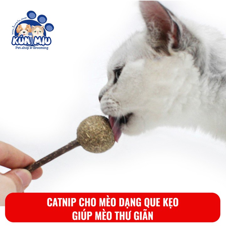 Catnip cho mèo dạng que kẹo Kún Miu, đồ chơi catnip cho mèo thư giãn
