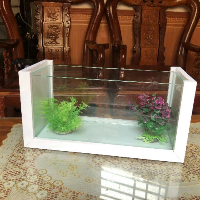 Bể cá khung gỗ size trung
