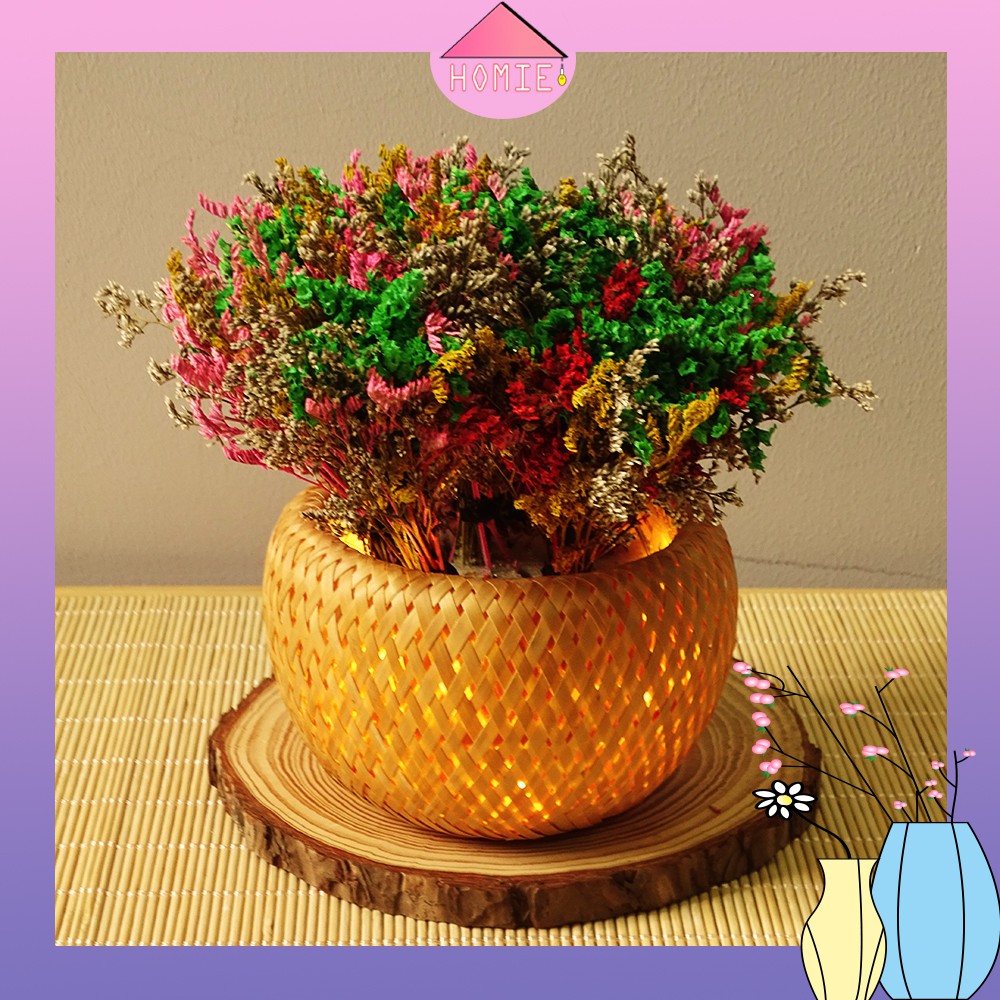 [Trang trí bàn làm việc] Chậu hoa khô kèm đèn LED trang trí độc đáo