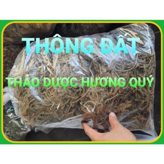 1 Kg Cây Thông Đất Khô, Sạch, Thơm