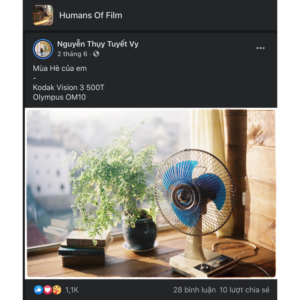 Film máy ảnh Kodak Vision 3 500T - Indate 12/2025