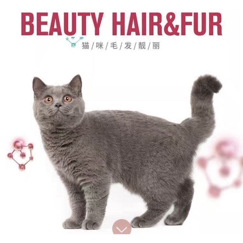 Gel tiêu búi lông mèo Masti Gel dưỡng lông mèo hỗ trợ tiêu hóa nhuận tràng NourseVietnam MT15