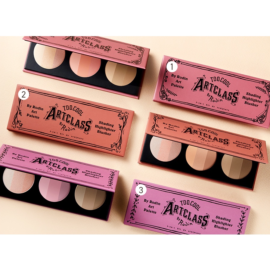 Set Tạo Khối, Má Hồng, Bắt Sáng Too Cool 3 In 1 BY RODIN ART PALLETE