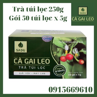 Cà Gai Leo Trà Túi Lọc 250g Hộp 50 gói x 5g