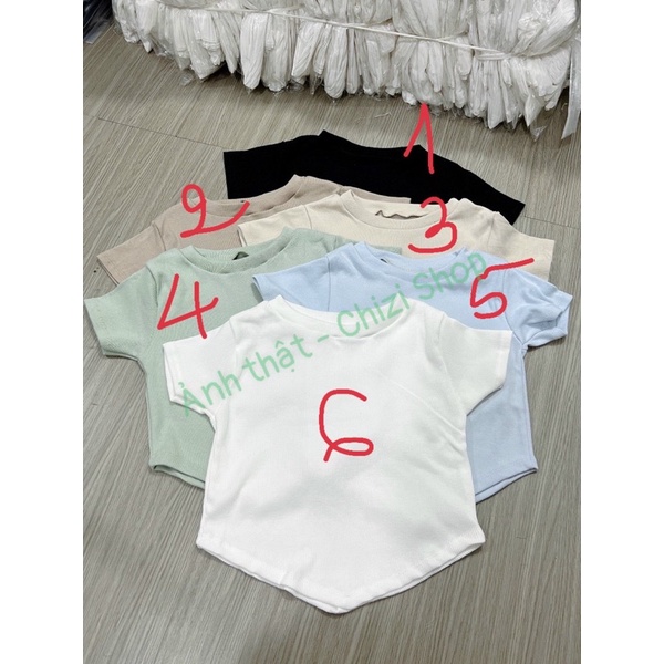 (Ảnh Thật) ÁO THUN TAY NGẮN CROPTOP TRƠ TÀ NHỌN CỔ TRÒN NHIỀU MÀU, Chizi Shop
