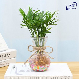 Bình bông lọ hoa thủy tinh miệng loe / Hũ , lọ thuỷ tinh 350ml