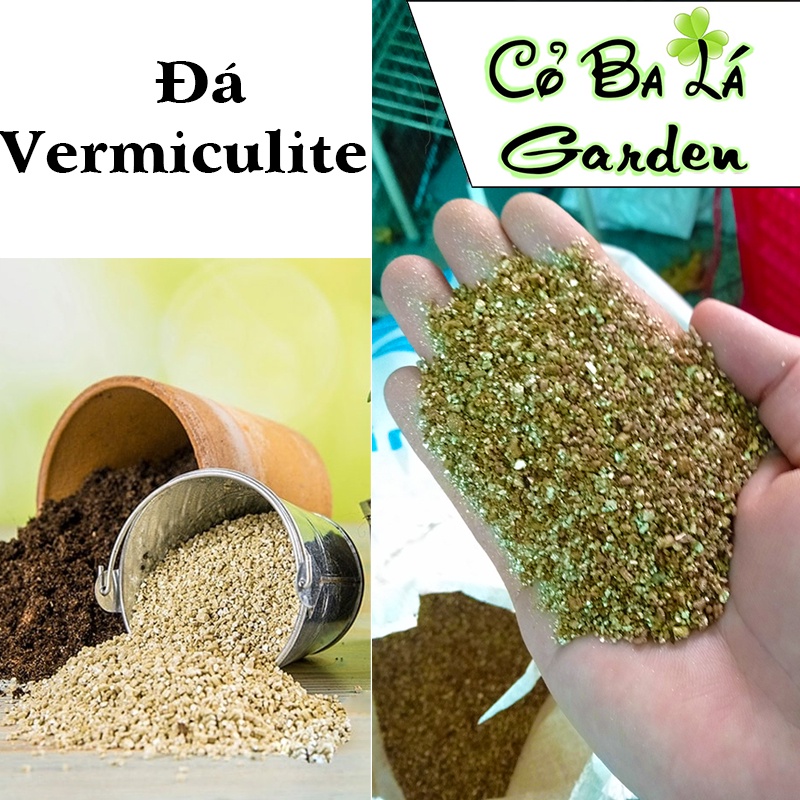 Đá Vermiculite-trồng rau-sen đá xương rông-trồng hoa-(túi 200gram)