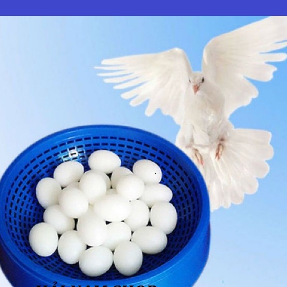 Trứng chim bồ câu giả Halosung Trứng chim phụ kiện lồng chim PK18
