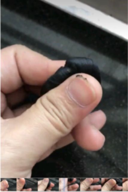 380k/kg Tỏi đen cô đơn | BigBuy360 - bigbuy360.vn