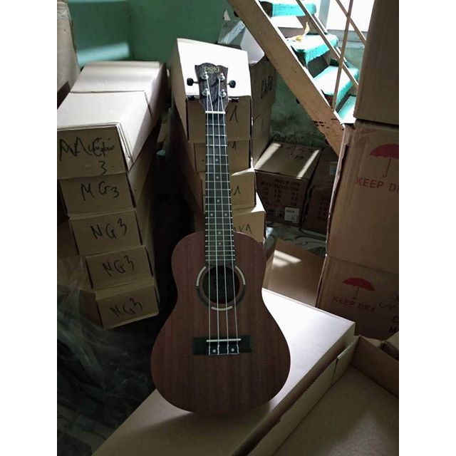 ( RẺ VÔ ĐỊCH)ĐÀN UKULELE CONCERT KHẢM VIỀN