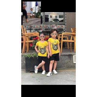 combo  Bộ guci mèo huy89