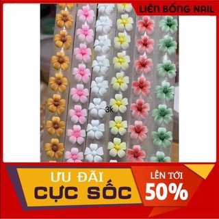 hoa bột nail- hoa sứ