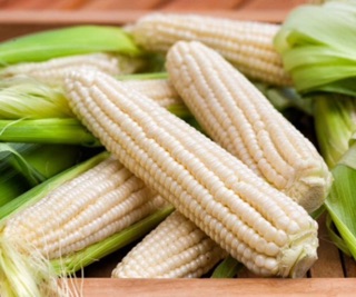 Hạt giống Bắp Nếp Nù 100 gram