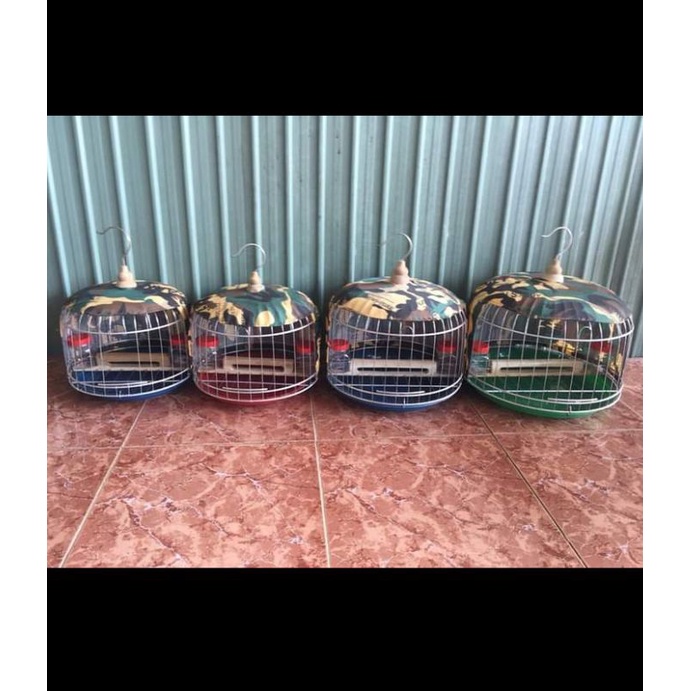 Lồng cu gáy size 40