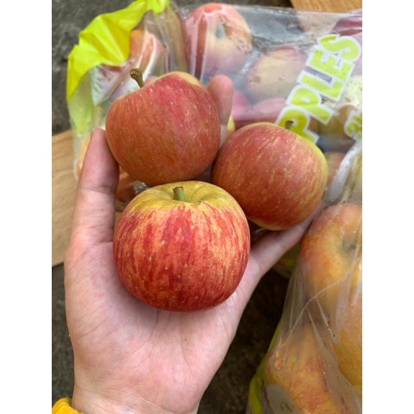 TÁO FUJI NAM PHI TÚI 3KG