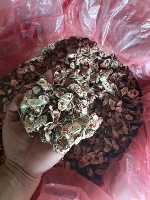 [1kg] KHỔ QUA RỪNG (MƯỚP ĐẮNG ) _SẤY KHÔ 100%